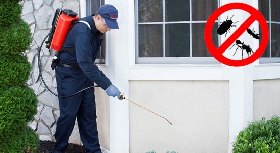 Elmalı Böcek ve Haşere İlaçlama böcek ilaçlama ve haşere kontrolü — ilaclama-tr.com